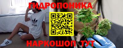 стафф Краснодар