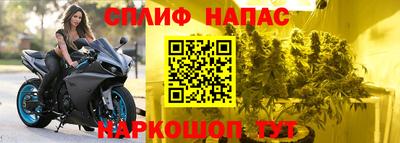 стафф Краснодар
