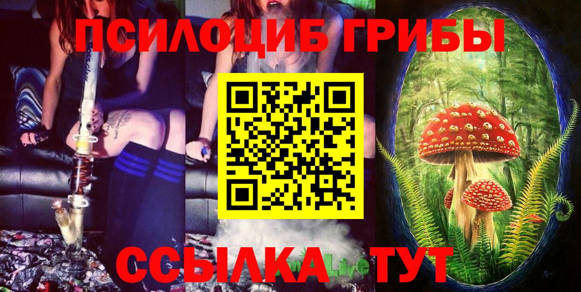Галлюциногенные грибы GOLDEN TEACHER  Галлюциногенные грибы GOLDEN TEACHER  Ипатово  Вход с VPN 